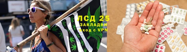амф Вяземский