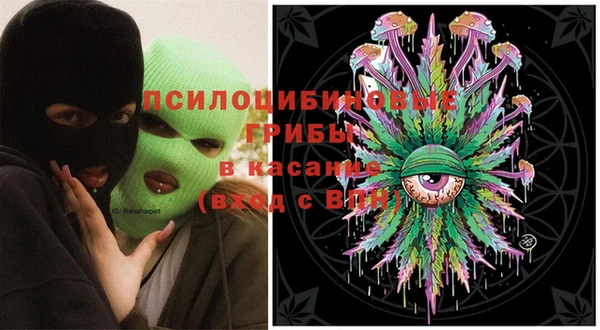 стаф Горно-Алтайск