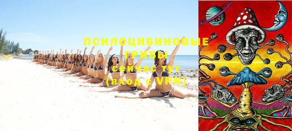 хмурый Горняк