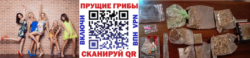 Купить  Тамбов  Галлюциногенные грибы MAGIC MUSHROOMS 